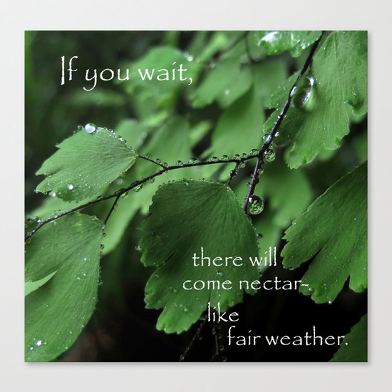 Nature's Patience Canvas Print