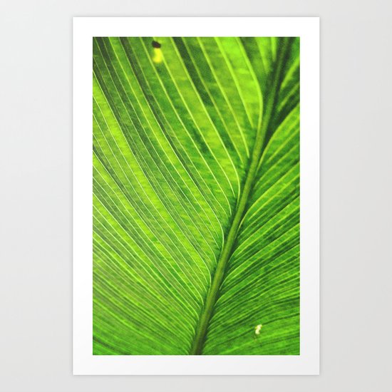 Leaf Art Print