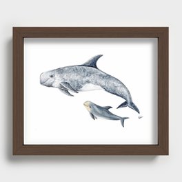 Risso´s Dolphin Recessed Framed Print