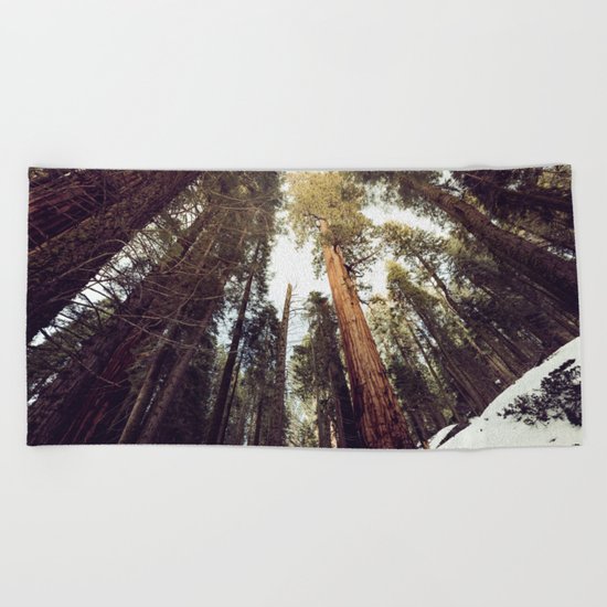 Deep in the Forest Beach Towel