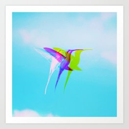 Planalto Hermit Hummingbird  Art Print
