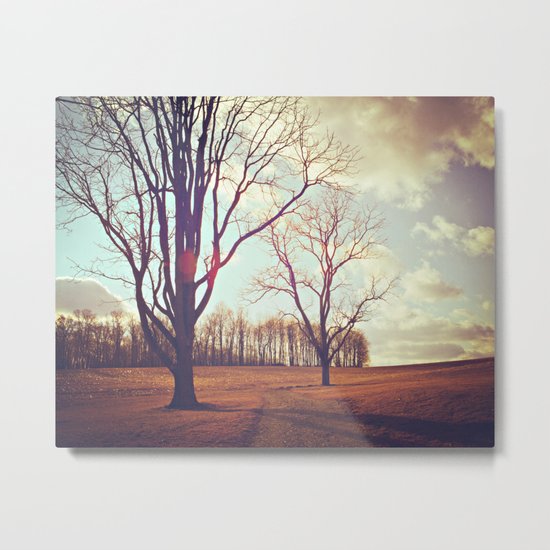 Warmth of Winter Metal Print