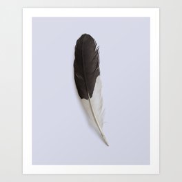 Minimalist Black and White Feather Art Print