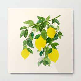 Summer Lemons / Tropical Fruit Series Metal Print