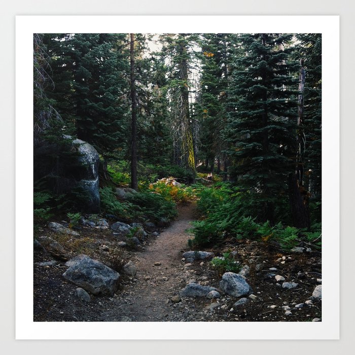 Beautiful 16x24 Canvas Print of Loon Lake, BC: Photo Art of the