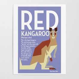 Red Kangaroo Poster