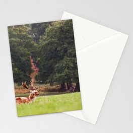 Wild life Stationery Cards