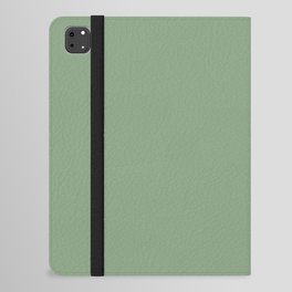 Sage Green- Solid Color iPad Folio Case