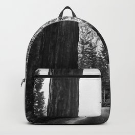 Twin giant redwoods II portrait version / sequoias Pacific Coast California nature black and white landscape photograph / photography Backpack