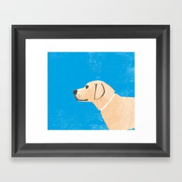 Labrador Retriever 1 Framed Art Print