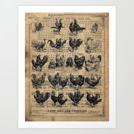 Vintage Chicken Study from 1895 Dictionary on Lancaster, PA antique almanac page Art Print