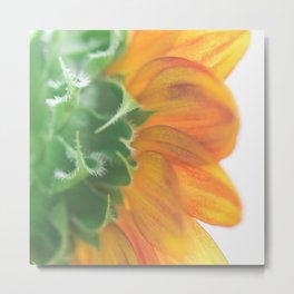 Seek the Light - Sunflower Photography Metal Print | Floral, Photo, Abstractsunflower, Color, Garden, Farmhouse, Abstract, Colorfulflowers, Dreamy, Elegant 