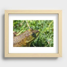 Green Frog closeup Recessed Framed Print