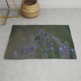 Honey Bees On Lavender Stalks Close Up Photography Area & Throw Rug