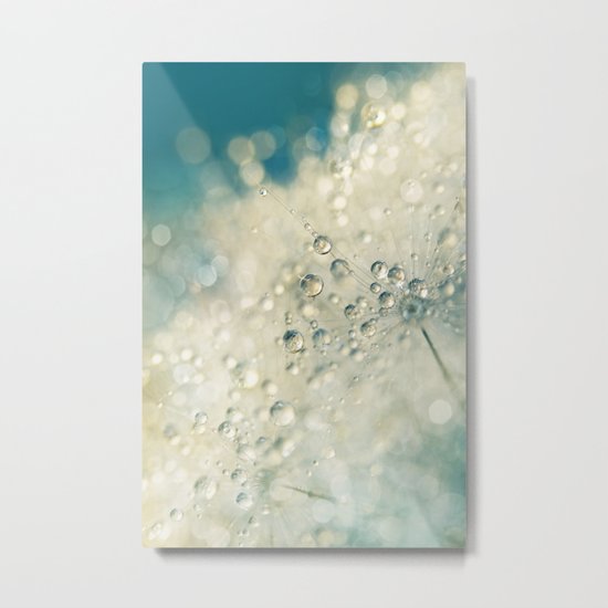Dandy Dazzle Metal Print