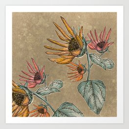 Retro Sunflowers Art Print