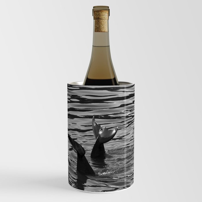 Black and White Dolphins Wine Chiller