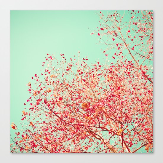 Red autumn Canvas Print