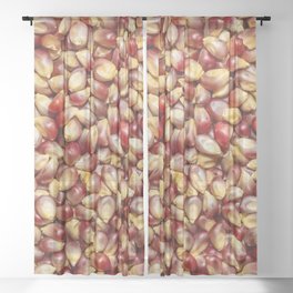 Purple and Rouge Popcorn Kernels Food Photograph Pattern Design Sheer Curtain