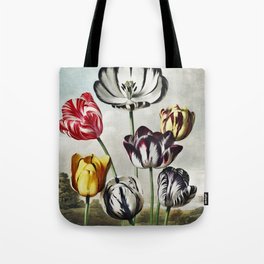 Tulips from The Temple of Flora (1807) by Robert John Thornton. Tote Bag
