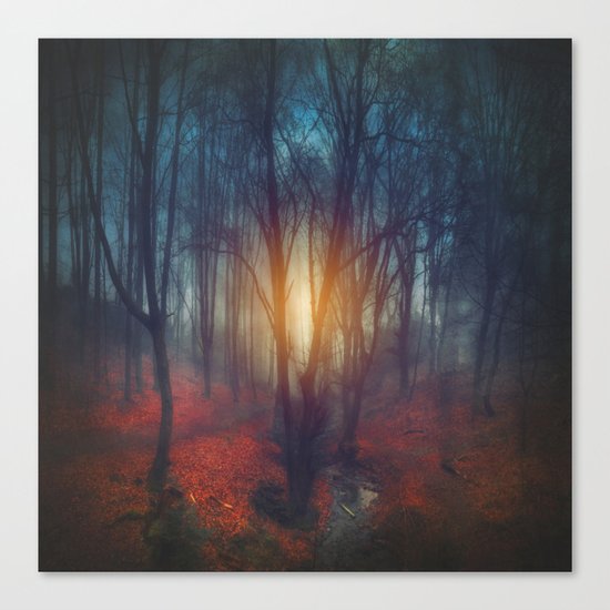 cRies and whiSpers Canvas Print