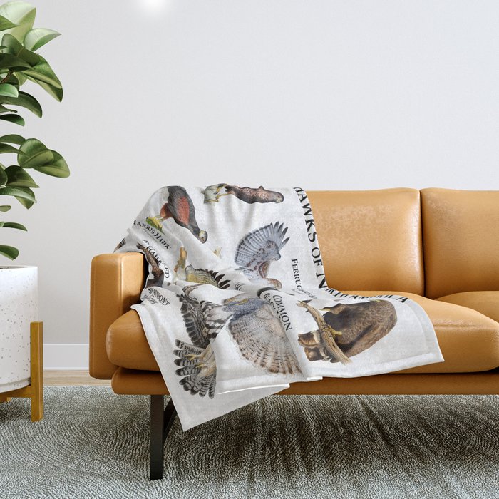 Hawks blanket best sale