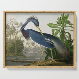 John James Audubon Louisiana Heron Painting Serving Tray