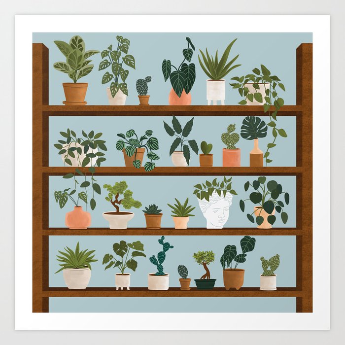 Plant shelves Art Print