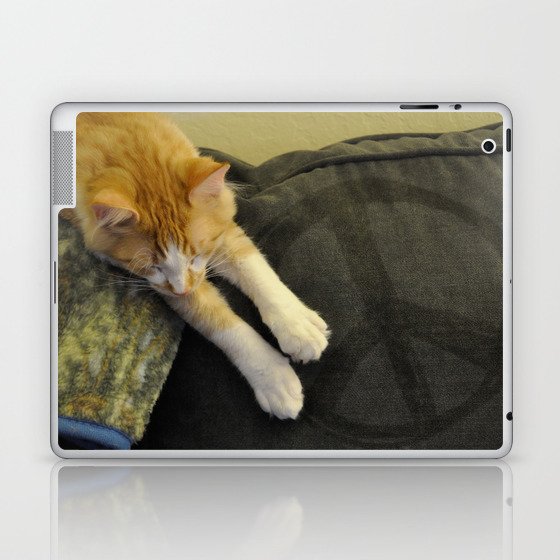 Peaceful Cat Laptop & iPad Skin
