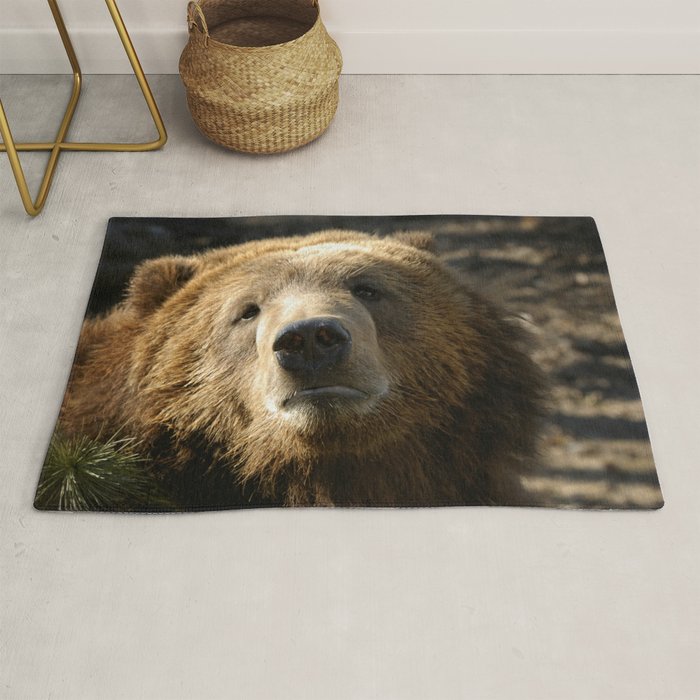 Teddy bear rug deals