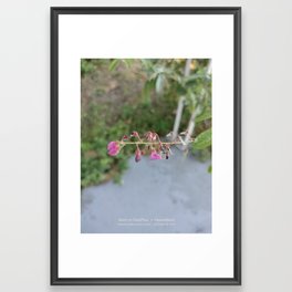 Zen flower Framed Art Print