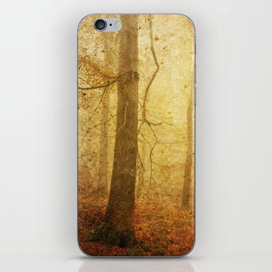 November I iPhone & iPod Skin