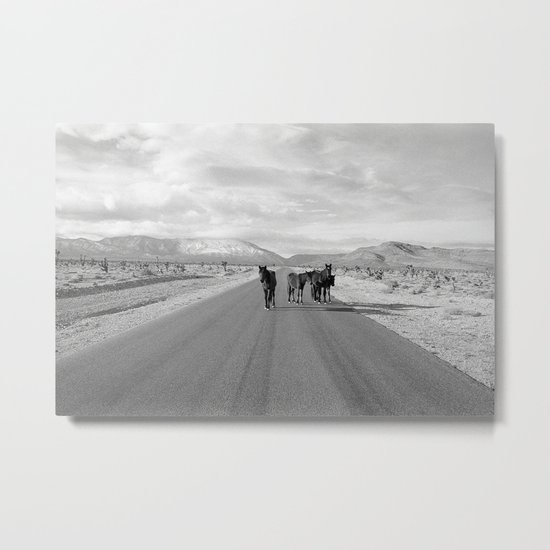 Spring Mountain Wild Horses Metal Print