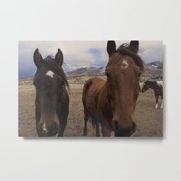 Horses Before the Storm Metal Print | Colorado, Steamboatsprings, Color, Coloradohorses, Digital, Horse, Photo, Pony, Hdr, Mares 