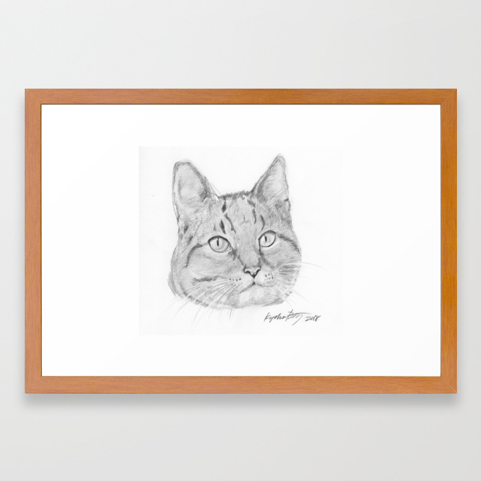 Cat Face Realistic Pencil Sketch Drawing Framed Art Print By Kyokobartley Society6