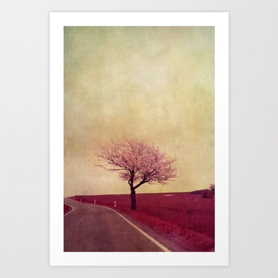spring field Art Print