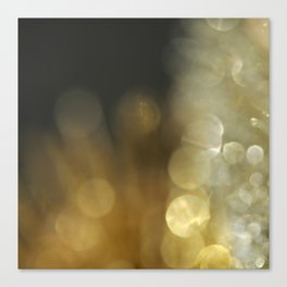 Gold and Silve #2 Canvas Print