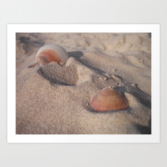 Shells Art Print