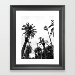 Black and White Palm Trees Framed Art Print