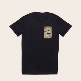 Sharks of the World T Shirt