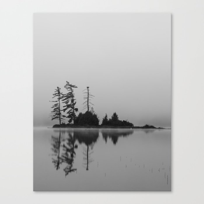 trees in the fog Canvas Print