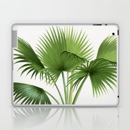 Vintage botanical print - palm tree illustration  Laptop Skin