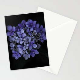 Blue Hydrangea Stationery Cards