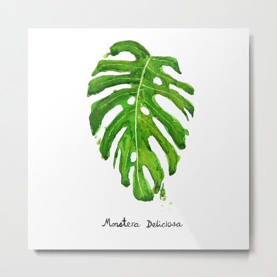 Monstera Deliciosa Metal Print