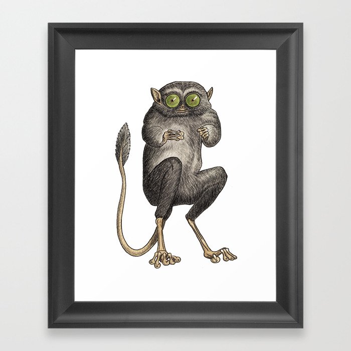 Tarsier Monkey Framed Art Print
