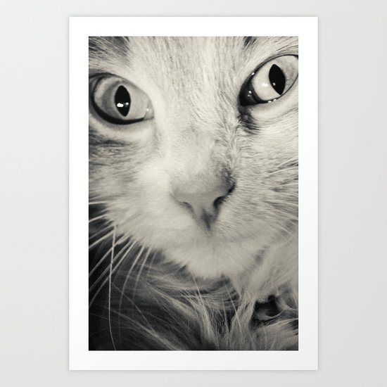 CAT Art Print