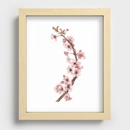 Cherry blossoms Recessed Framed Print