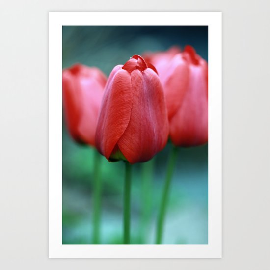 Red Tulips Art Print