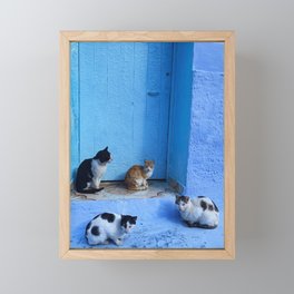 Cats in Chefchaouen Framed Mini Art Print