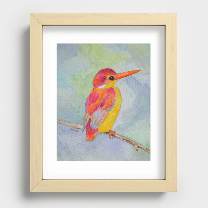 Rufous-backed Kingfisher Recessed Framed Print